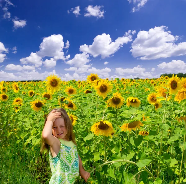 Girl on sunflowers field — Stock Photo, Image