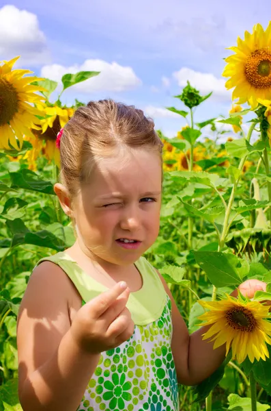Dziewczyna na pole słoneczników — Zdjęcie stockowe