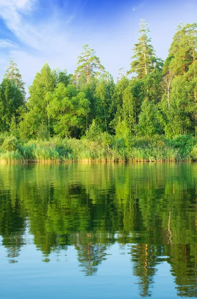 Orman Gölü — Stok fotoğraf
