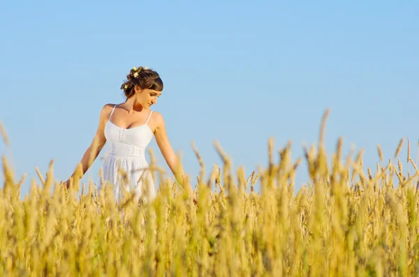 Mulher no campo de trigo — Fotografia de Stock
