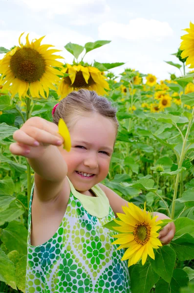 Dziewczyna na pole słoneczników — Zdjęcie stockowe