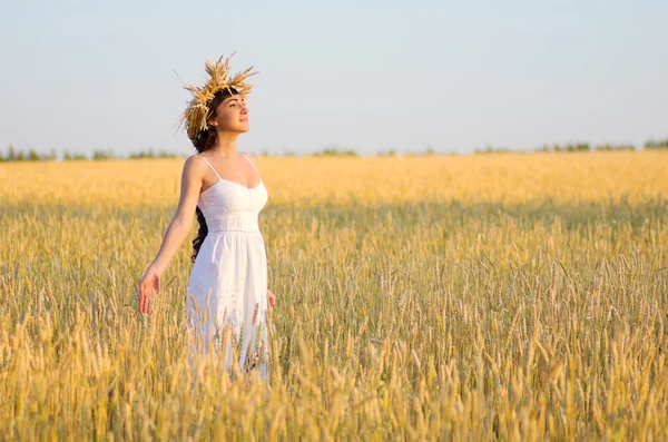 밀밭에 있는 소녀 — 스톡 사진