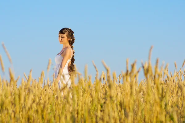 Девушка на пшеничном поле — стоковое фото