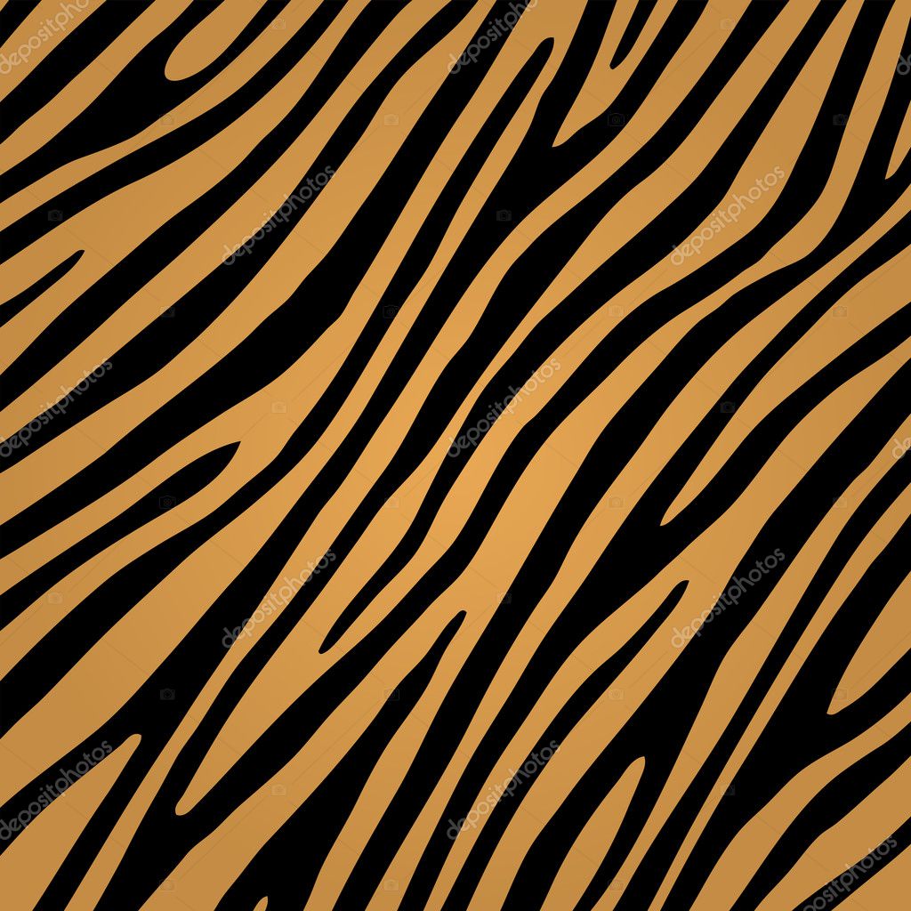 Tiger skin pattern — Stock Vector © dezign80 #11567766