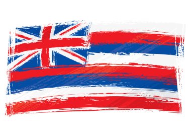 Grunge Hawaii flag clipart