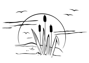 Cattails on illustration clipart