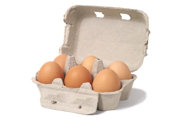 계란 흰색 — 스톡 사진