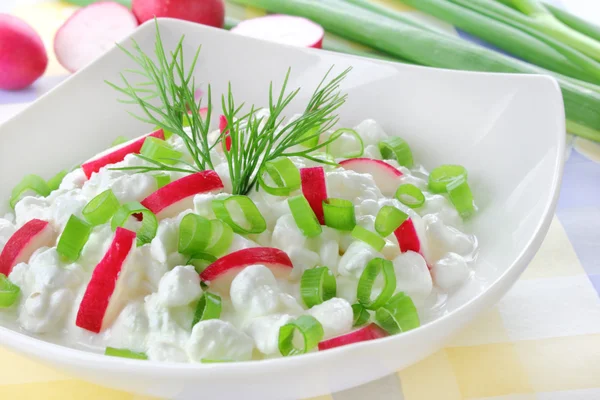 Cheese with radish and chives — Stock Photo, Image