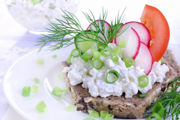 Szendvics, cottage sajt, uborka, retek és a paradicsom — Stock Fotó