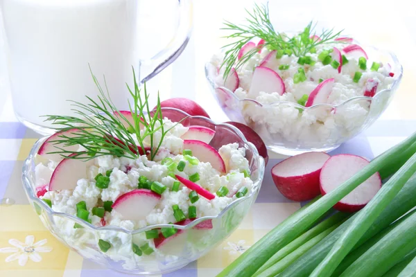Cottage cheese with radish,chives and dill — Stock Photo, Image