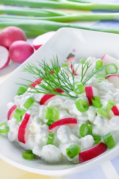 Cheese with radish and chives — Stock Photo, Image