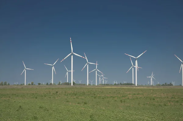 Wind turbine farm on rural terrain — Stock Photo, Image