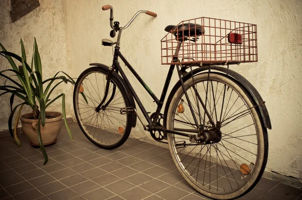 La vieja bicicleta retro se apoyaba en la pared —  Fotos de Stock