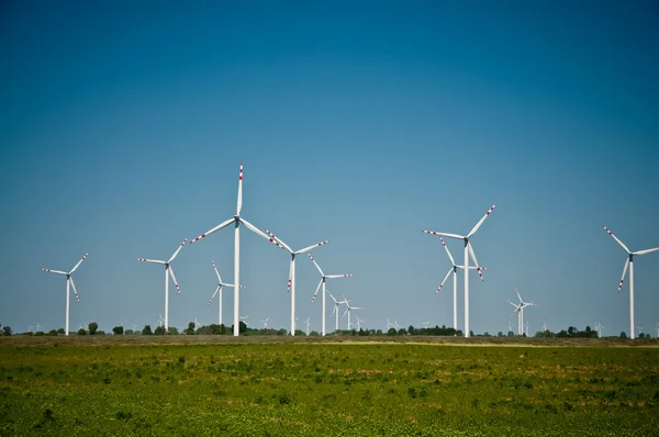 Wind turbine farm on rural terrain Stock Image