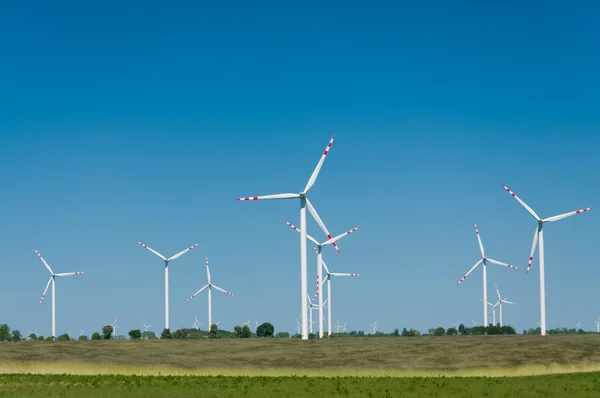 Wind turbine farm on rural terrain — Stock Photo, Image