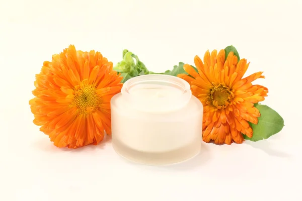 Marigold salve with flowers and leaves — Stock Photo, Image
