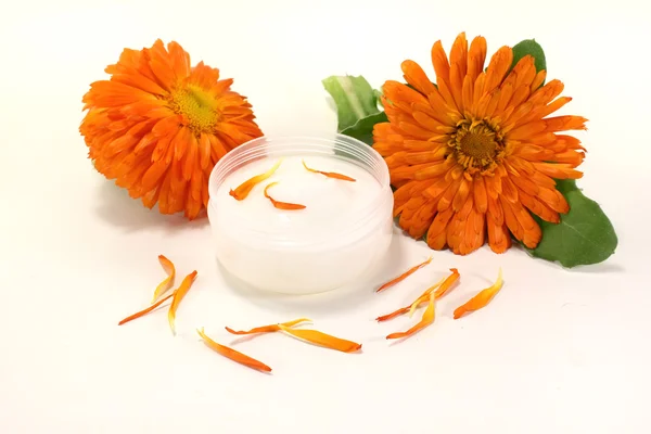 Marigold salve with petals — Stock Photo, Image