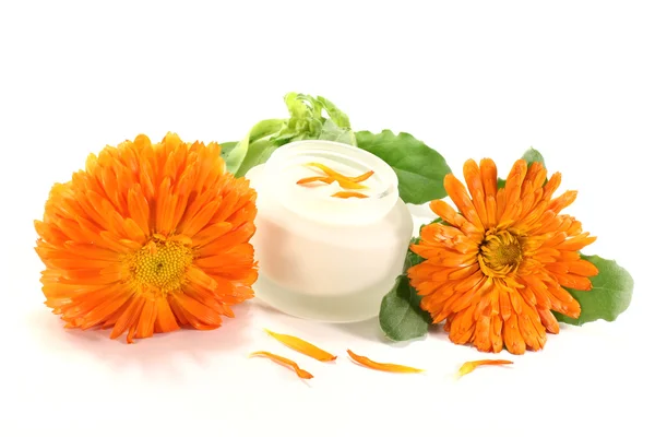 Fresh marigold salve — Stock Photo, Image