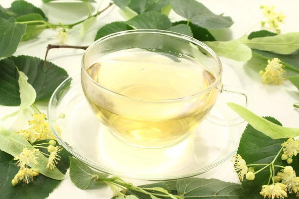 Цветущий чай Линден — стоковое фото