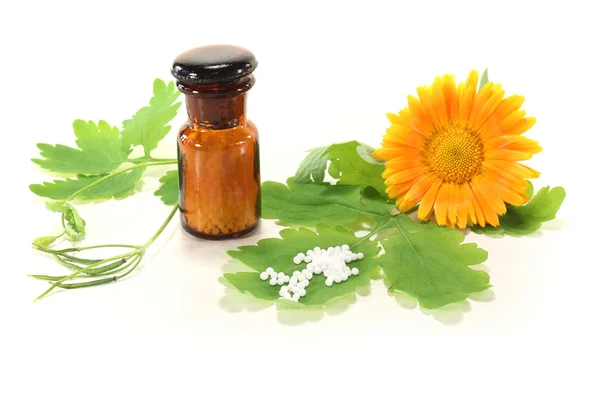 Homeopati. — Stok fotoğraf