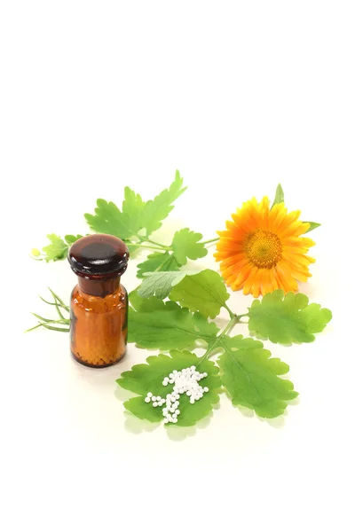 Homeopathie met grotere stinkende gouwe — Stockfoto