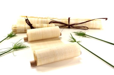 Yellowed papyrus scrolls with papyrus clipart