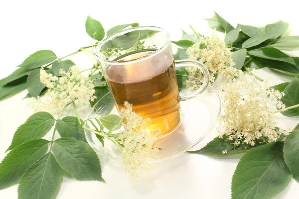 Sıcak elderflower çay — Stok fotoğraf