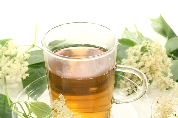Fresh elderflower tea — Stock Photo, Image