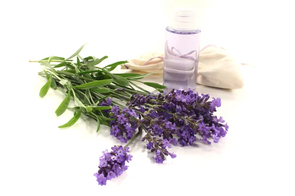 Lavender oil with lilac flowers — Stock Photo, Image