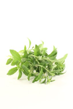 Stevia with flowers clipart