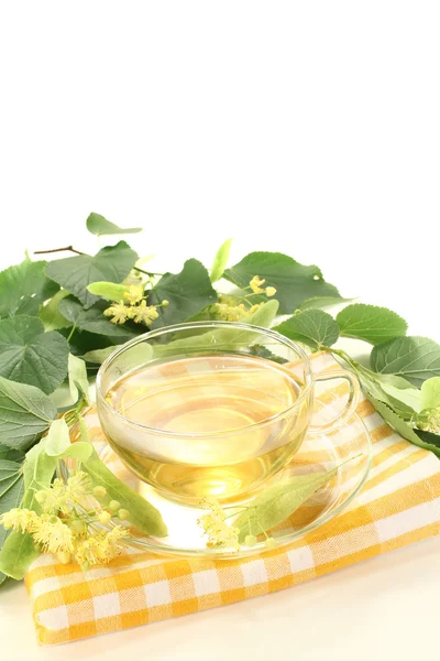 Delicious lime blossom tea — Stock Photo, Image