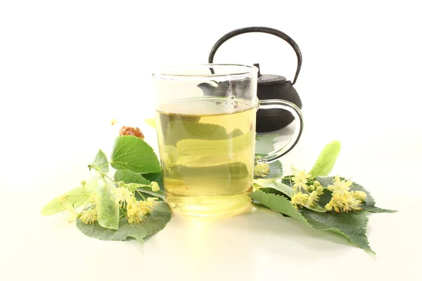 Горячий чай с цветущим лаймом — стоковое фото