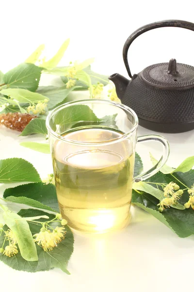 Horké limetové kvetoucí čaj — Stock fotografie