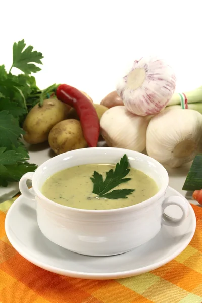 Zuppa di creme vegetali — Foto Stock