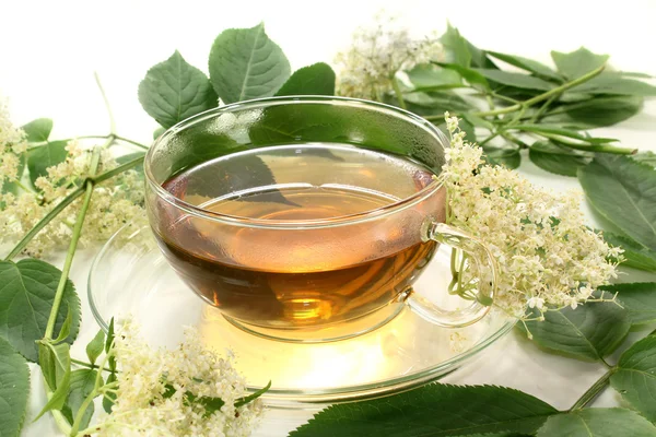 Elderflower tea — Stock Photo, Image