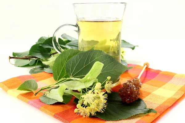 Lime blossom tea — Stock Photo, Image