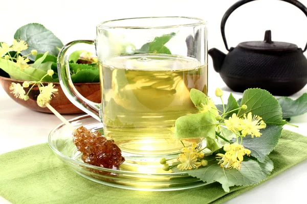 Lipa kwiat herbaty — Zdjęcie stockowe