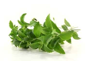 Stevia