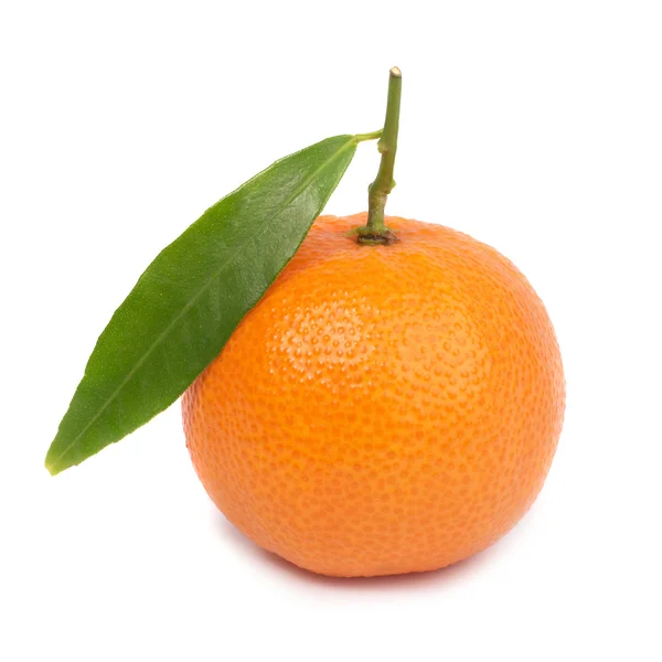 Apelsin mandarin — Stockfoto