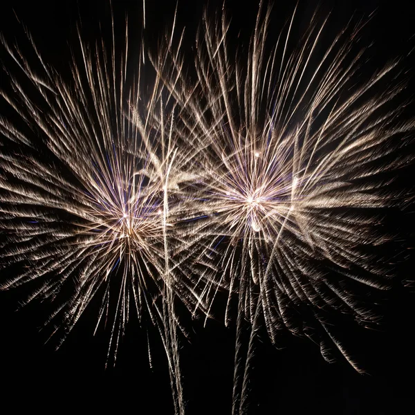 Színes tűzijáték — Stock Fotó