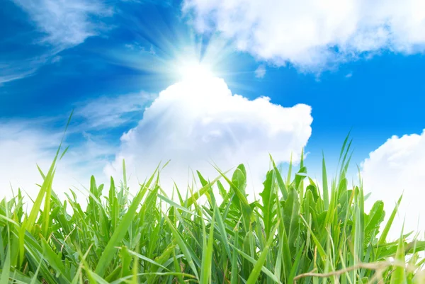 Groen gras met bewolkte hemel — Stockfoto