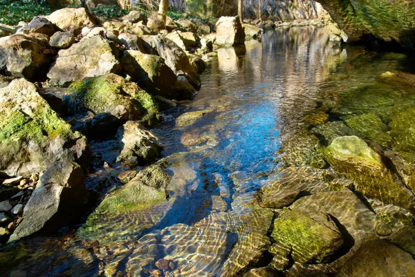 stock image Lake in the forest