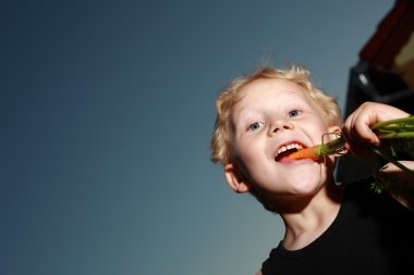 Young boy munching a carrot clipart