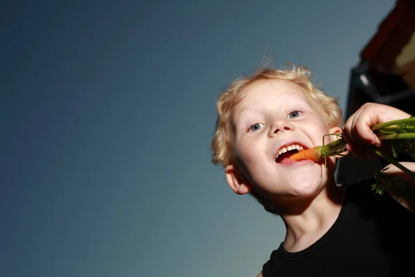 Young boy munching a carrot Stock Kép