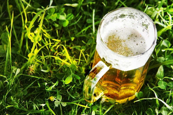 Mugg öl i grönt gräs Stockbild