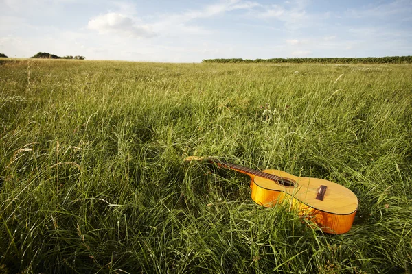 Wooden guitar lying in grassy field Stock Fotó