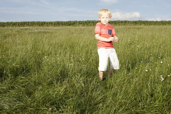 Pequeno menino loiro no campo gramado — Fotografia de Stock
