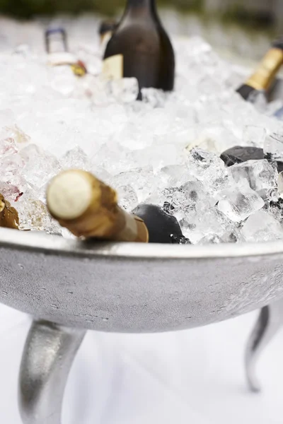 Flessen champagne koeling op ijs Stockafbeelding