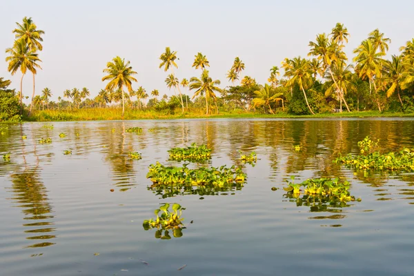 Backwaters van kerala, india — Stockfoto