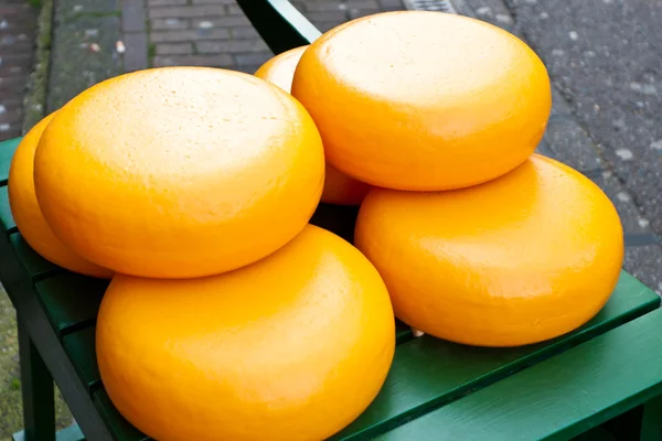Cheese in the Netherlands — Stock Photo, Image